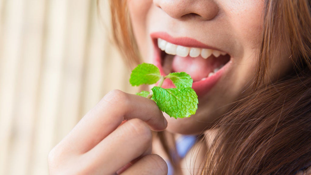 https://www.cheryls.com/blog/wp content/uploads///history of peppermint woman eating mint leaves