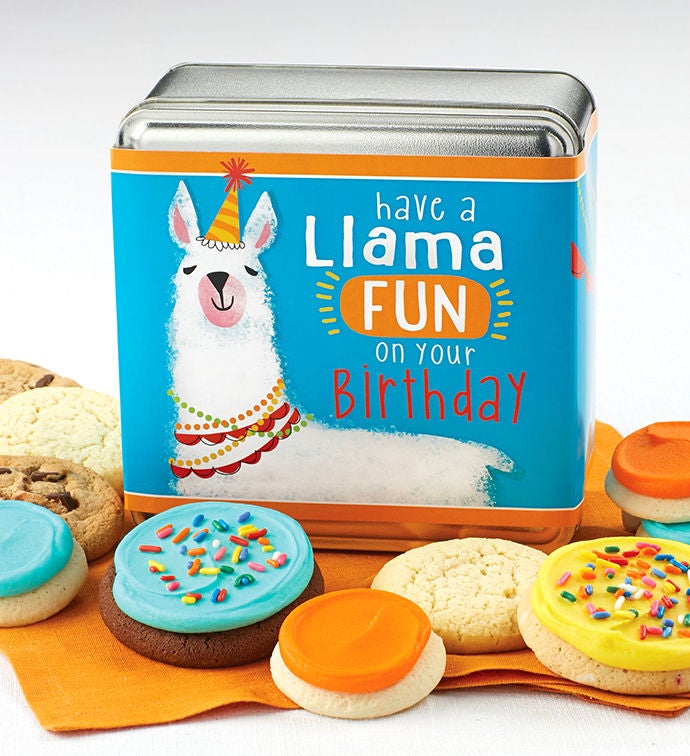 Image of Have A Llama Fun Gift Tin