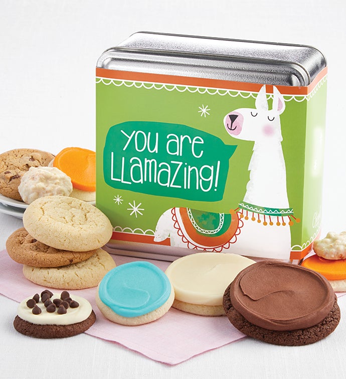 Image of Youre Llamazing Treats Gift Tin